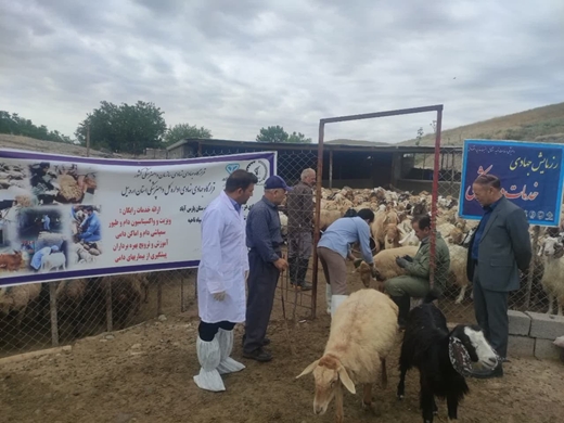 برگزاری اردوی یکروزه جهاد دامپزشکی در قشلاقات مناطق محروم شهرستان پارس آباد